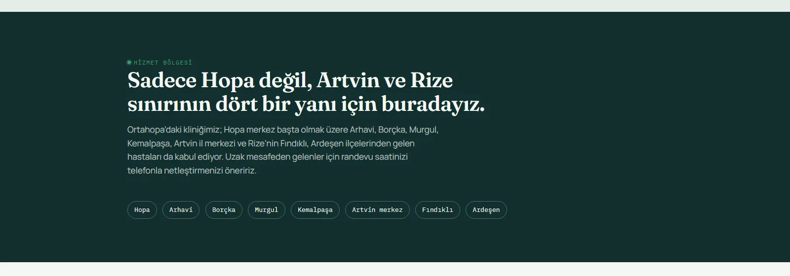 Barsvet — Hopa Veteriner Kliniği Web Sitesi ve Bölgesel SEO — ekran 2