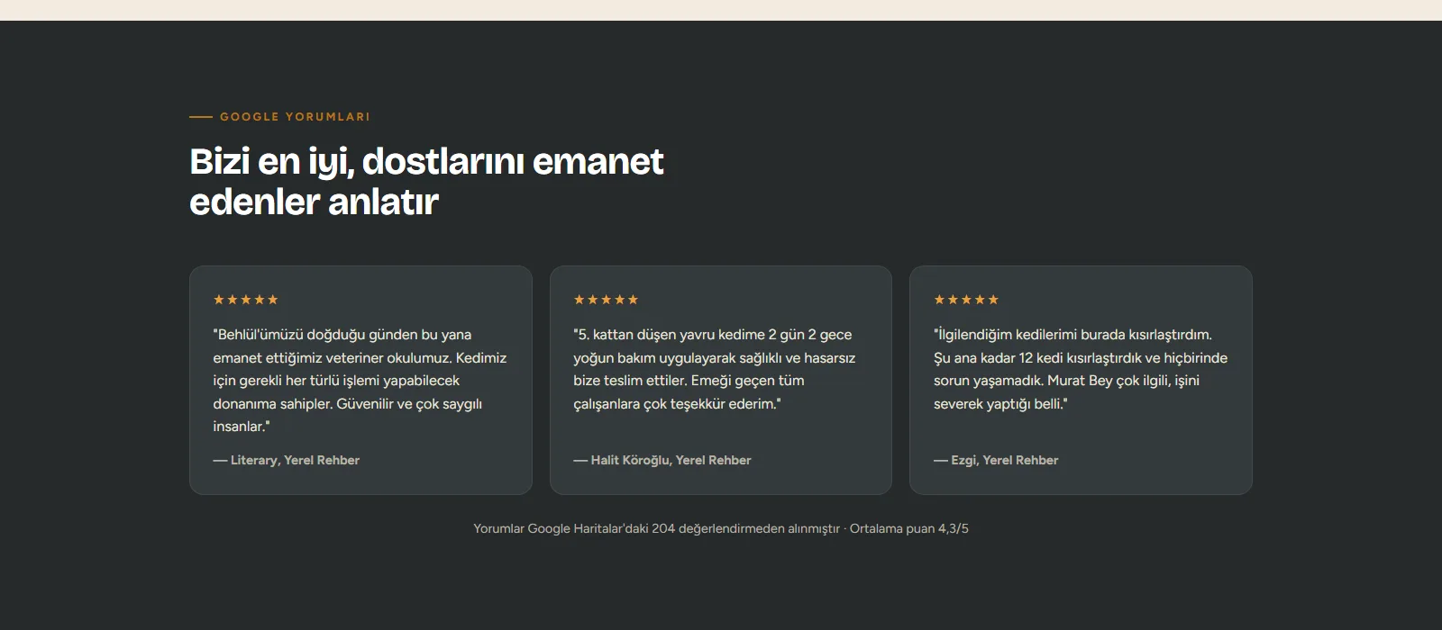 Vetpet — Edirne 7/24 Acil Veteriner Kliniği Web Sitesi — ekran 2
